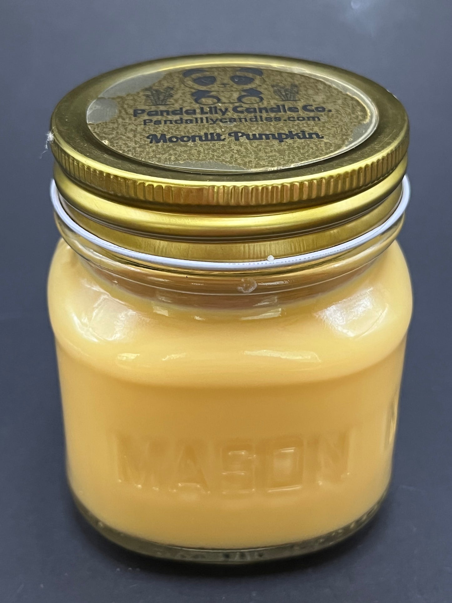 Moonlit Pumpkin (Soy Wax) Candle -8oz - Panda Lily Candle Company