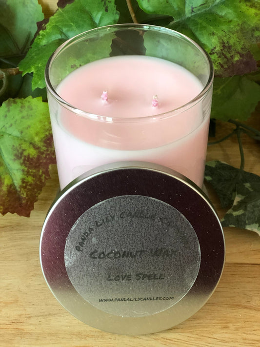 Double Wick Candles!! - Panda Lily Candle Company